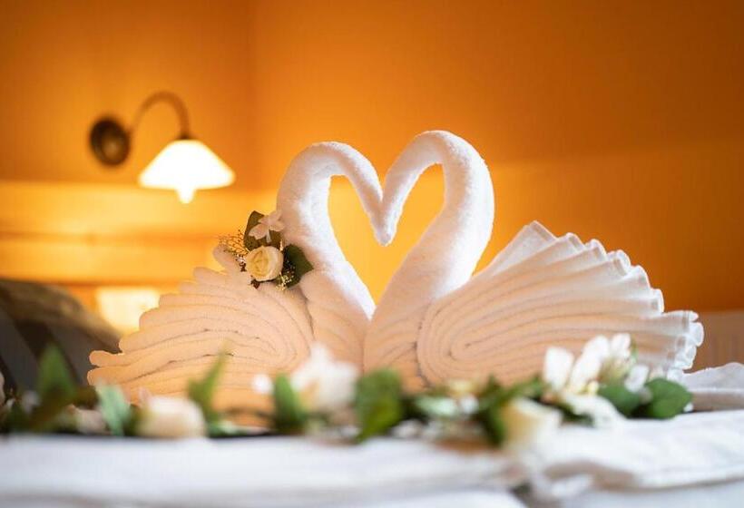 デラックスルーム, Vyhlídka