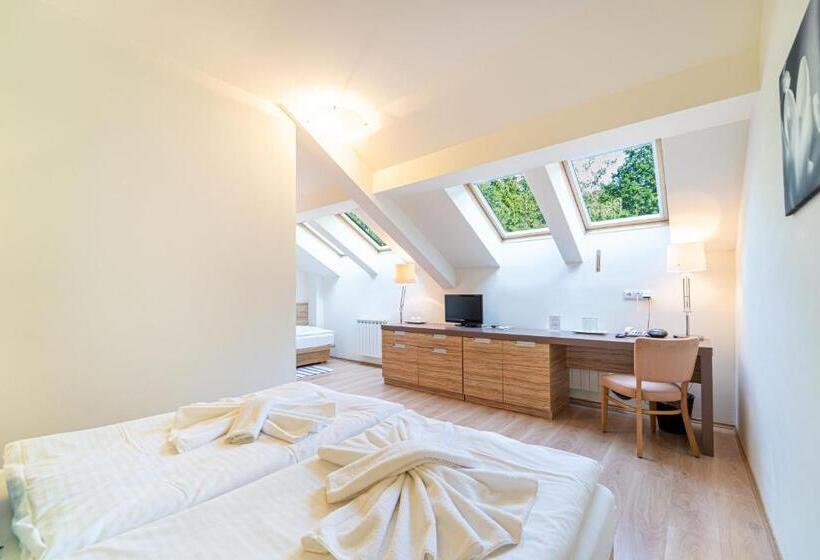 スタンダードルーム, Vyhlídka