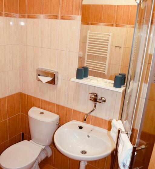 غرفة قياسية, Lc   Hotel Ostrava