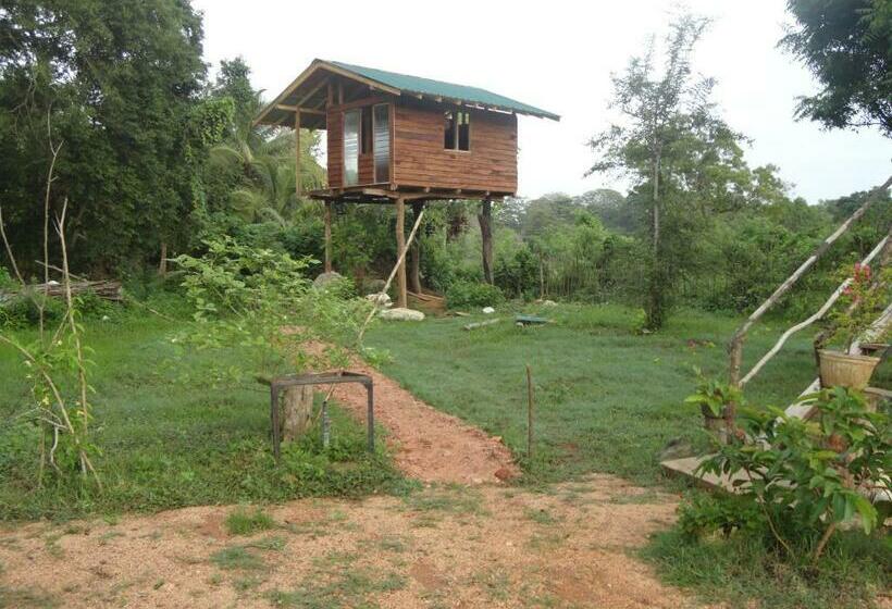 בית, חדר שינה 1, Sigiri Forest View