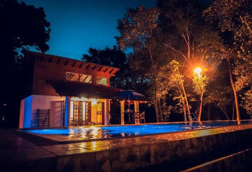 Номер Deluxe, Vaana Resort