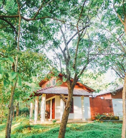 Трехместный Номер Deluxe, Vaana Resort