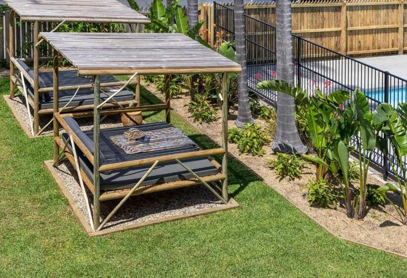 חדר דלוקס, South Pacific Palms Motor Inn