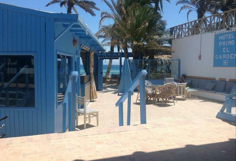 اتاق استاندارد یک نفره, El Primo Hotel Dahab