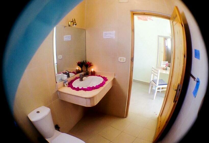 اتاق استاندارد, El Primo Hotel Dahab