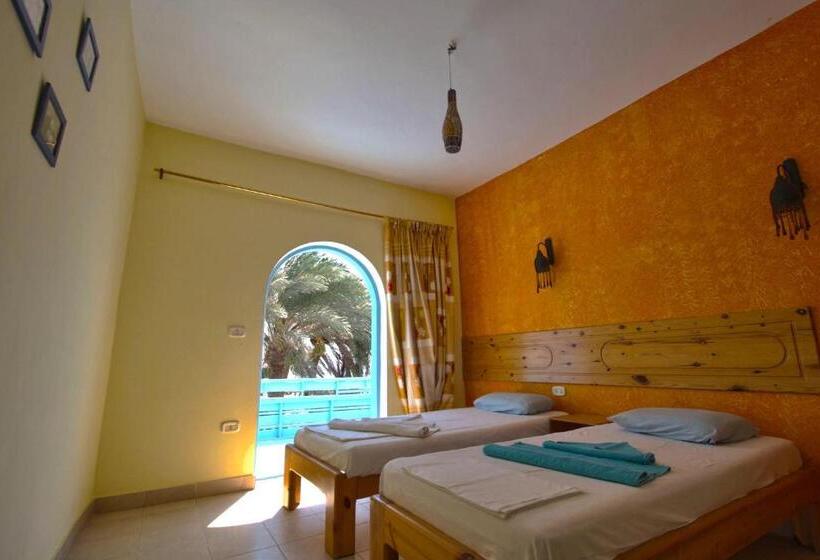 اتاق استاندارد, El Primo Hotel Dahab