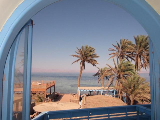 اتاق استاندارد, El Primo Hotel Dahab