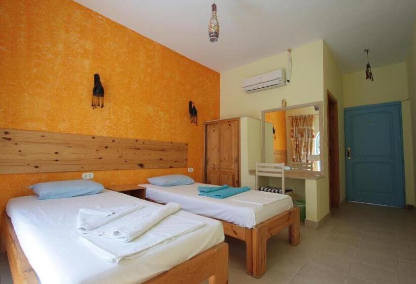 اتاق استاندارد, El Primo Hotel Dahab
