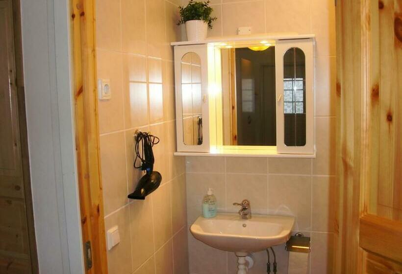 Номер Стандарт Совместная Ванная, Hedemora Logi