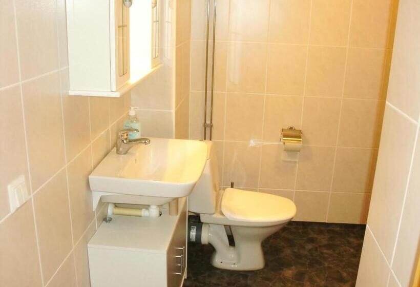 Трехместный Номер Стандарт Совместная Ванная, Hedemora Logi