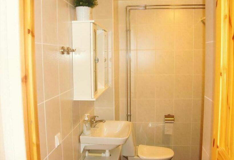 Номер Стандарт Четырехместный Совместный Санузел, Hedemora Logi