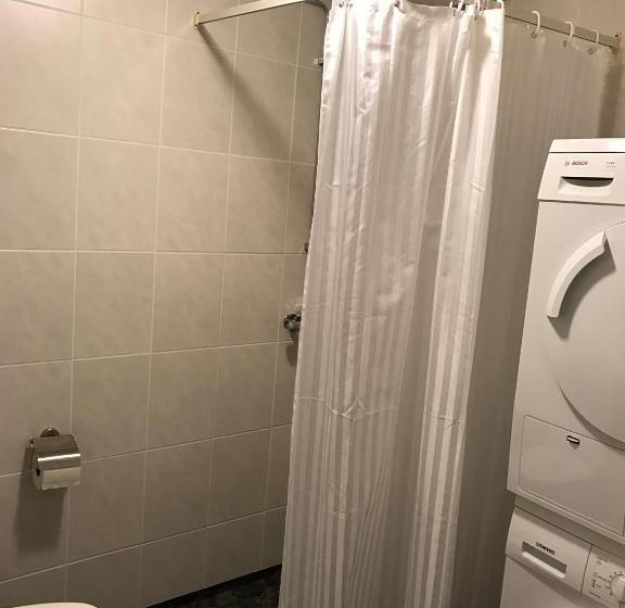 Номер Стандарт Четырехместный Совместный Санузел, Hedemora Logi