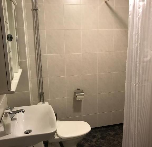 标准四人间共用浴室, Hedemora Logi