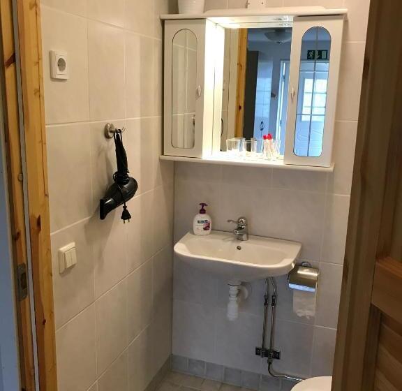 Номер Стандарт Четырехместный Совместный Санузел, Hedemora Logi