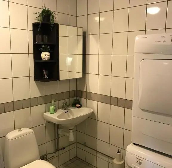 浴室共有のエコノミールーム, Hedemora Logi