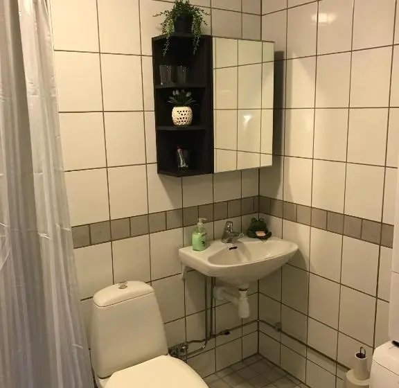 浴室共有のエコノミールーム, Hedemora Logi