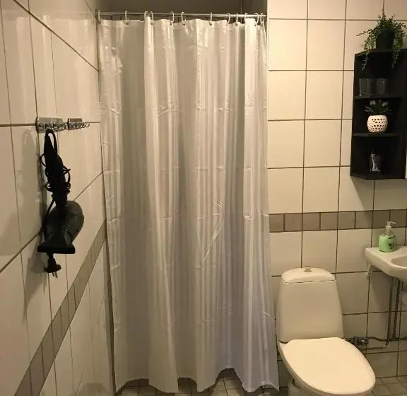 浴室共有のエコノミールーム, Hedemora Logi