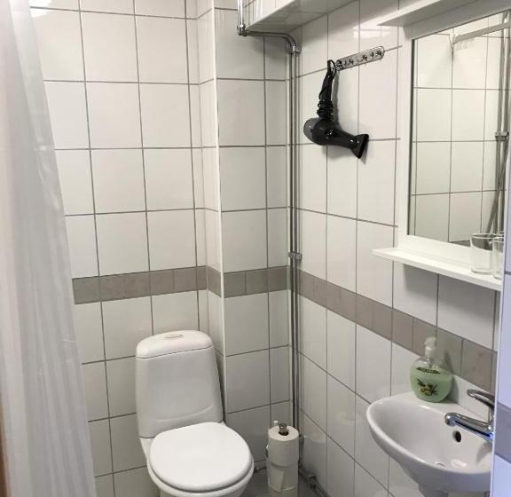 带2个卧室的公寓, Hedemora Logi
