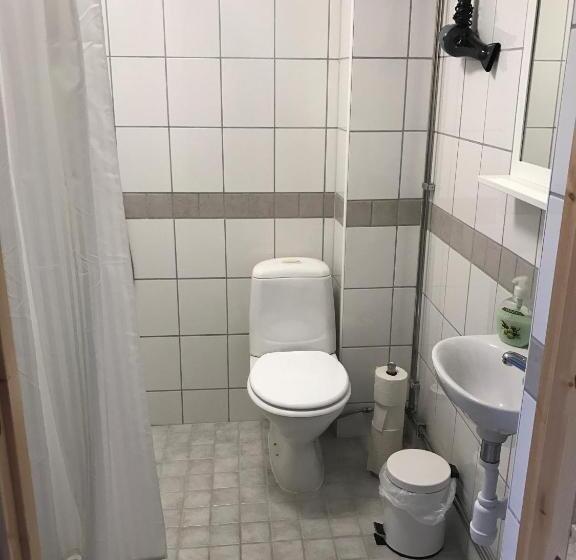 Апартаменты 2 Спальни, Hedemora Logi