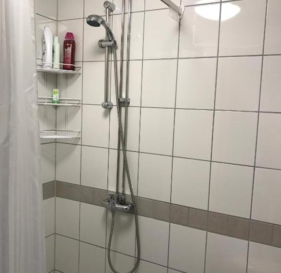 Номер Стандарт, Hedemora Logi