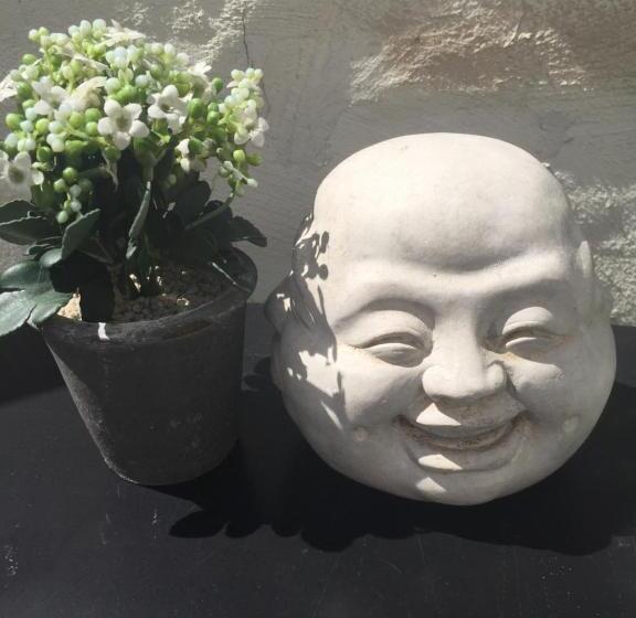 חדר סטנדרט, B&b Con Ampère