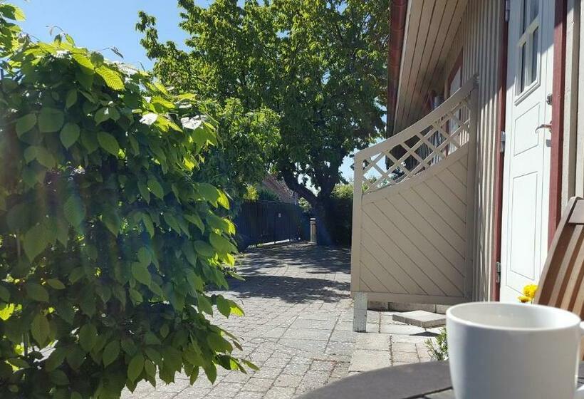 חדר סטנדרט יחיד, B&b Villa Orion