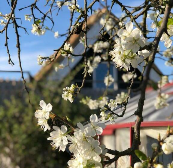 高级工作室, Sydkustens At Pillehill