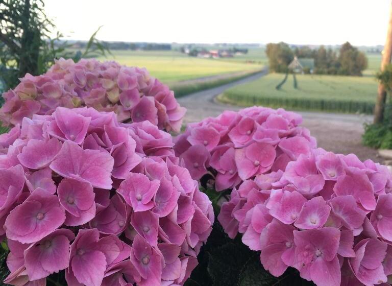 디럭스 룸, Sydkustens At Pillehill