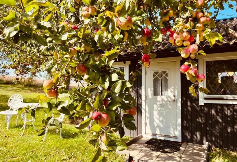 디럭스 룸, Sydkustens At Pillehill