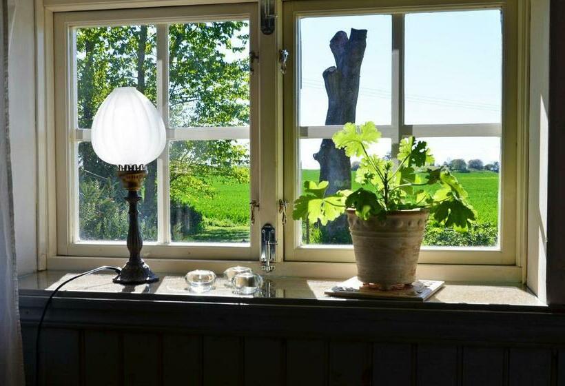 Номер Стандарт, Torsborgs Gård