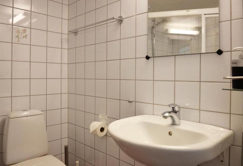 Апартаменты Дюплекс 1 Спальня, Torsborgs Gård