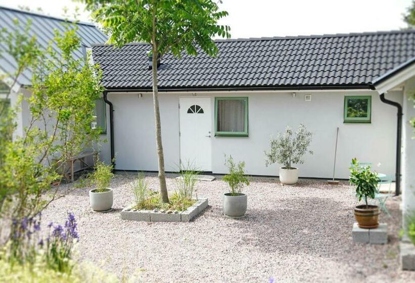 디럭스 룸, Tuna Orangeri