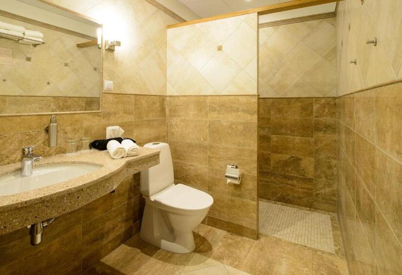 اتاق استاندارد یک نفره, Georgi Hotell