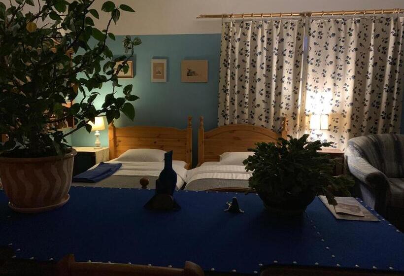 اتاق استاندارد, Baltā Māja