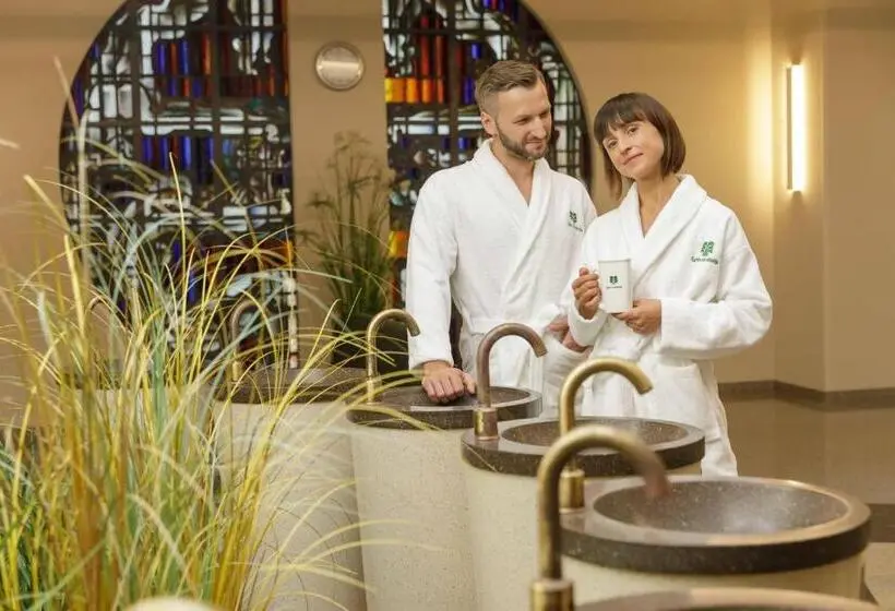 اتاق عادی, Eglė Plus Medical Spa