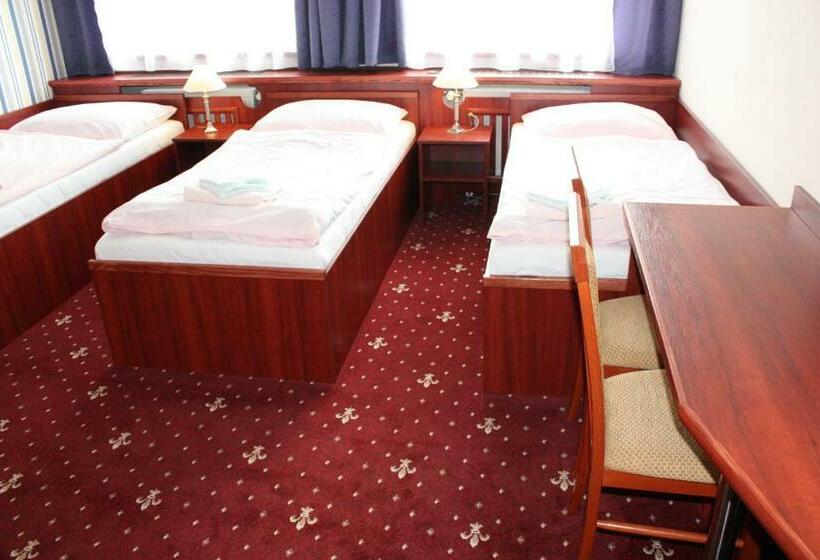 اتاق استاندارد سه نفره, Hynek