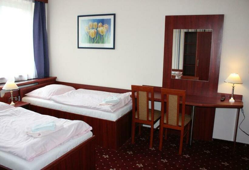 اتاق استاندارد سه نفره, Hynek