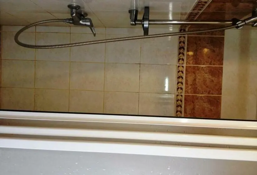 اتاق استاندارد سه نفره, Palangos Dailė
