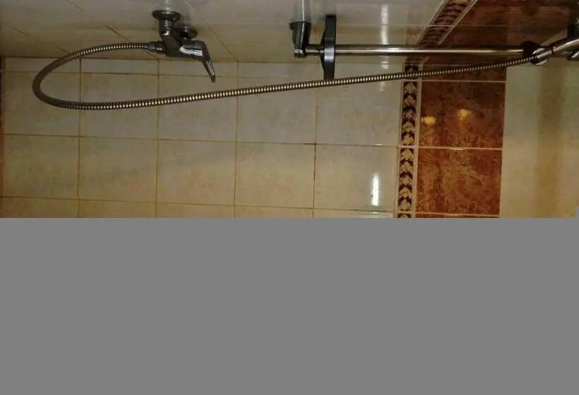 اتاق سوپریور سه تخته, Palangos Dailė