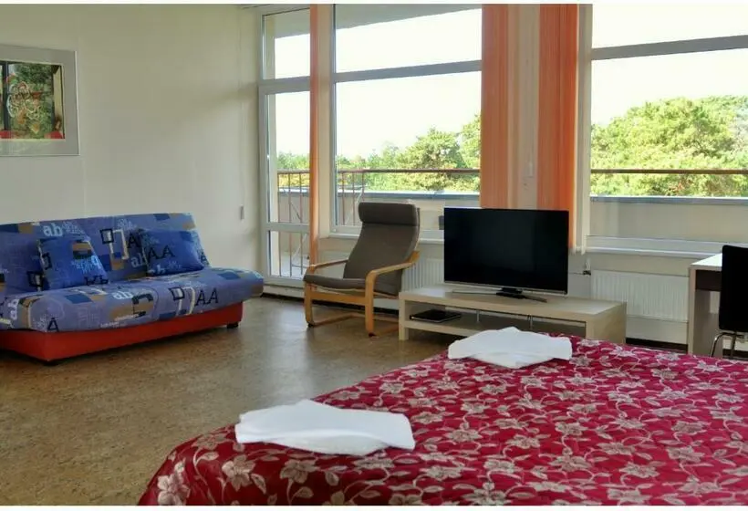 اتاق سوپریور سه تخته, Palangos Dailė