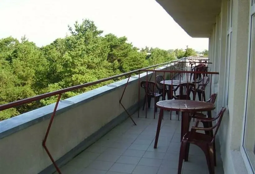 اتاق استاندارد سه نفره, Palangos Dailė