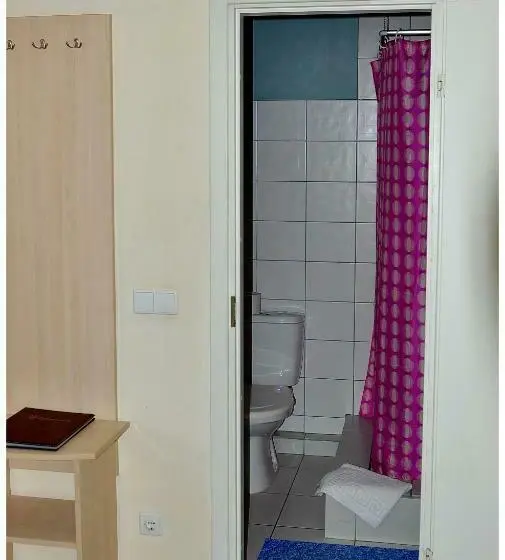 اتاق عادی یک تخته, Palangos Dailė