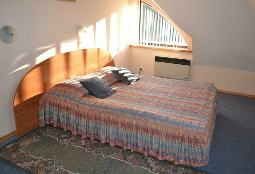 اتاق استاندارد, Palva