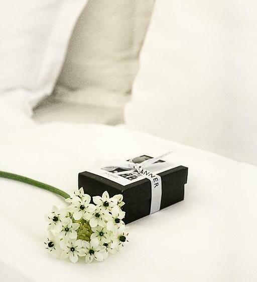 주니어 스위트, Pm & Vanner