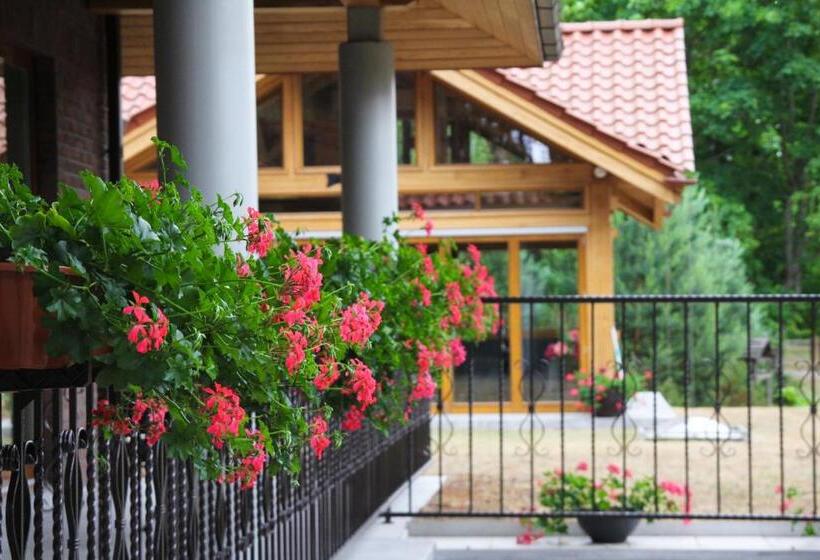 اتاق استاندارد با تخت دوبل, Pušynė