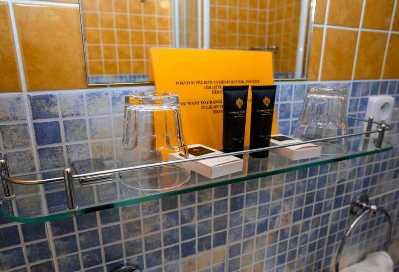 １ベッドルームアパートメント, Boutique Hotel Templ