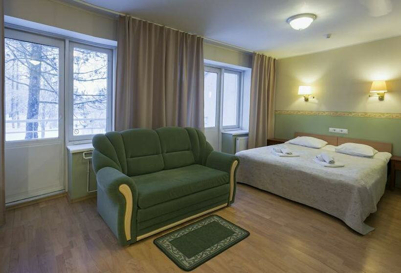 آپارتمان سوپریور 1 خوابه, Wasa Hotel & Health Center
