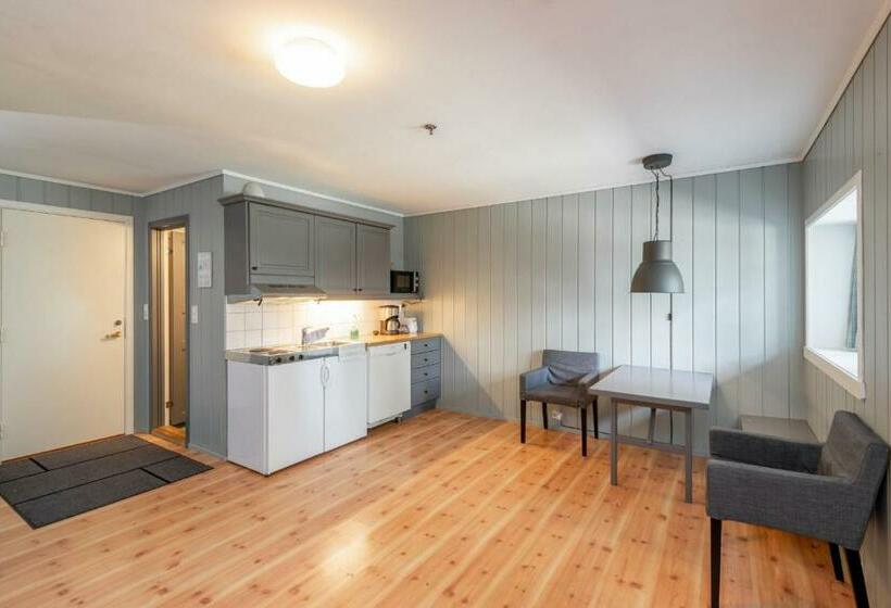 آپارتمان 1 خوابه, Nermo Hotel & Apartments