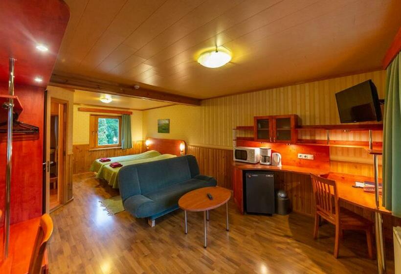 آپارتمان 1 خوابه, Padu Hotell