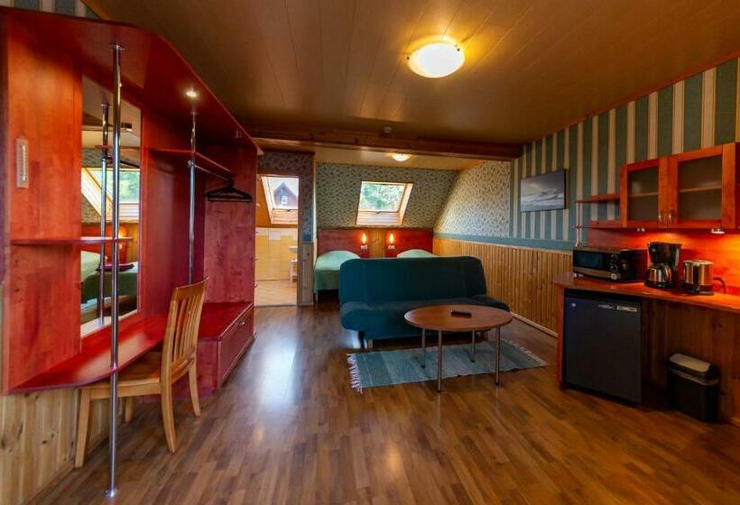 آپارتمان 1 خوابه, Padu Hotell